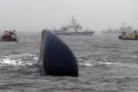 Thợ lặn tử vong khi tham gia tìm kiếm nạn nhân chìm phà Sewol