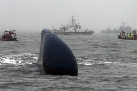Thợ lặn tử vong khi tham gia tìm kiếm nạn nhân chìm phà Sewol