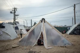 Tổng giám đốc WHO: Hệ thống y tế của Dải Gaza đang sụp đổ