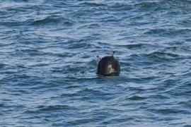 Động thái của Thổ Nhĩ Kỳ sau khi phát hiện ‘vật thể lạ’ gần eo biển Bosphorus