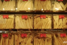 Hàng không Hàn Quốc cấm vận chuyển vây cá mập 