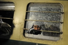 Tàu chở khách Pakistan bị trúng rocket, nhiều người thương vong