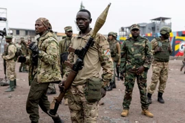 Hội đồng Bảo an Liên hợp quốc kêu gọi ngừng bắn ngay lập tức ở Congo