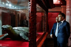 Tổng thống Pháp và phu nhân đi dạo Hồ Gươm trong đêm