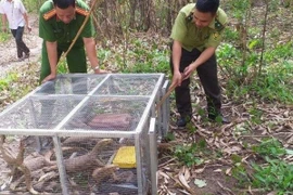  [Tin nhanh tối 15-7-2021] Nuôi nhốt kỳ đà vân quý hiếm, 2 phụ nữ bị phạt hơn 1 tỷ đồng