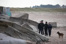 Phát hiện 2,3 tấn cocaine trôi dạt vào bờ biển nước Pháp