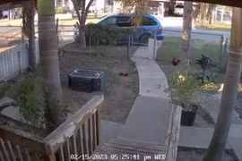 Khoảnh khắc thiên thạch rơi xuống bang Texas của Mỹ