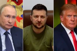 Nhà Trắng cân nhắc mời ông Zelensky đến cuộc gặp thượng đỉnh Mỹ-Nga tại Alaska