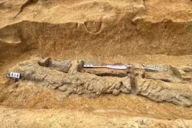 Tìm thấy thanh kiếm dài nhất Đông Á, uốn lượn như hình rắn