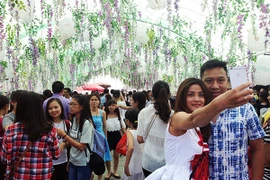 Lễ hội Hoa Tử Đằng – Nét văn hóa đến từ Nhật Bản