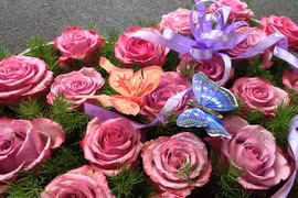 Thị trường 8-3: Hoa "xịn" nhập khẩu, giá cao vẫn đắt hàng