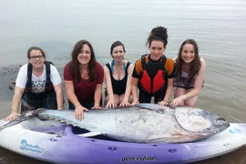 5 cô gái trẻ bắt được con cá ngừ vây xanh trị giá 36 tỷ đồng