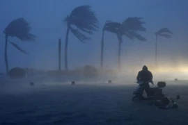 Siêu bão Rammasun tấn công, giết chết ít nhất 14 người Trung Quốc