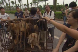 Lễ hội thịt chó gây tranh cãi ở Trung Quốc 