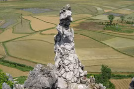 Nàng Tô Thị đã khác xưa