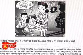 Thủ đoạn hoạt động tinh vi của đường dây mang thai hộ 
