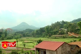 Những việc làm thiện nguyện nâng bước trẻ em vùng cao tới trường