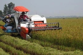 LienVietPostbank dành 6.000 tỷ đồng cho vay khu vực nông nghiệp