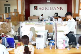 Agribank - "Đầu tàu" xây dựng nông thôn mới 