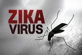 Bộ Y tế khẳng định: Đến 30-3, Việt Nam chưa có ca nhiễm virus Zika