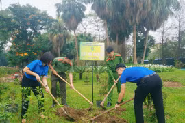 Ươm thêm 50 mầm xanh ý nghĩa trong công viên Thống Nhất