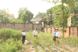 Giải ngân cho vay 700 triệu đồng đối với 10 trường hợp chấp hành xong án phạt tù