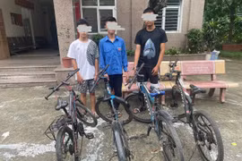 Từ nghi vấn nhỏ, làm rõ ổ nhóm cưỡng đoạt, trộm cắp tài sản