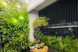 Lưới an toàn ban công và cửa lưới chống muỗi - Vật dụng thiết yếu của căn hộ cao tầng