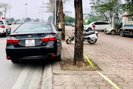 CQĐT vào cuộc vụ tài xế xe Camry khai mua bằng lái xe trên mạng xã hội