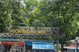 ‘Lấy niềm vui của người dân làm động lực vượt qua mọi vất vả'