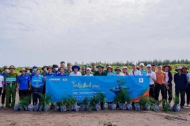 Trồng 13.000 cây phi lao tại rừng phòng hộ ven biển Tiền Giang