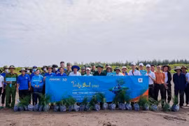 Trồng 13.000 cây phi lao tại rừng phòng hộ ven biển Tiền Giang