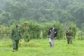 Xử lý đối tượng xâm nhập trái phép vào Việt Nam