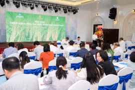 Giữ chất lượng, thương hiệu gạo giữa biến động lương thực toàn cầu