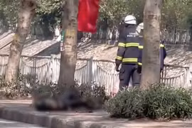 Cơ quan Công an thông tin chính thức về vụ người phụ nữ tự thiêu bên bờ sông Sét