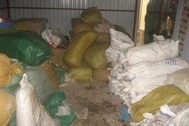 Phát hiện "ổ" sản xuất ô mai... ruồi!