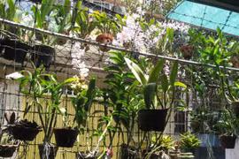 Nhân rộng những điều tốt đẹp