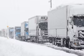 Tuyết rơi kỷ lục ở vùng Đông Bắc Nhật Bản 