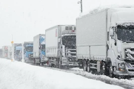 Tuyết rơi kỷ lục ở vùng Đông Bắc Nhật Bản 