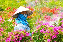 Rực rỡ làng nghề hoa giấy Phù Đổng