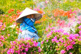 Rực rỡ làng nghề hoa giấy Phù Đổng