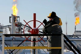 Các nền kinh tế mới nổi lao đao trong “cơn bão” giá nhiên liệu, thực phẩm 