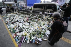 Gia đình các nạn nhân thảm kịch Itaewon tìm kiếm trách nhiệm giải trình 