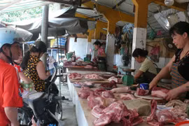 Loại dần chất cấm trong chăn nuôi