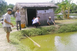 Giá tôm giảm, người nuôi tiếp tục gặp khó