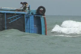 Quảng Ngãi: Chưa tìm được tàu cá chìm ở vùng biển Trường Sa
