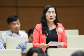 Đại biểu Quốc hội: Giải pháp nào bảo đảm ban hành kết luận thanh tra đúng thời hạn? 