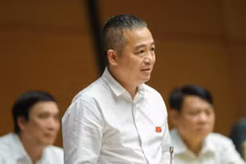 ĐBQH: 'Trong ngành y, người mới nhận nhiệm vụ vô cùng bối rối vì đi đâu cũng vướng, làm gì cũng có thể sai'