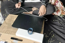 Chỉnh sửa hóa đơn chuyển tiền nhằm chiếm đoạt tài sản có thể lĩnh án tù chung thân