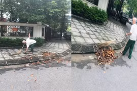 Chuyện lạ về những cựu binh: Từ 'tổ trưởng quốc dân' đến người 16 năm quét đường không công